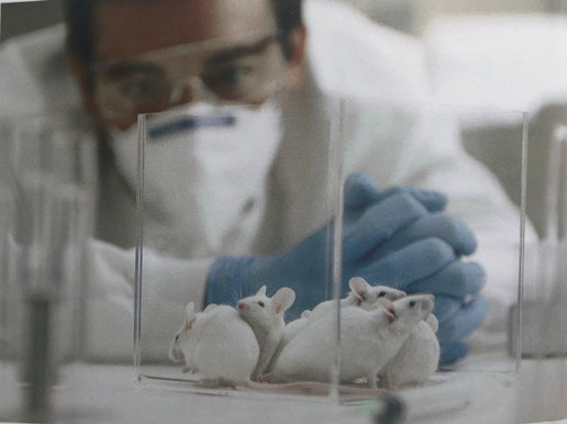 凈化車(chē)間裝修醫(yī)院凈化工程資質(zhì)怎么申請(qǐng)？